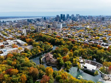 Halka açık bir park, sonbahar yaprağı rengi değişimi, şehir merkezindeki gökdelenler..