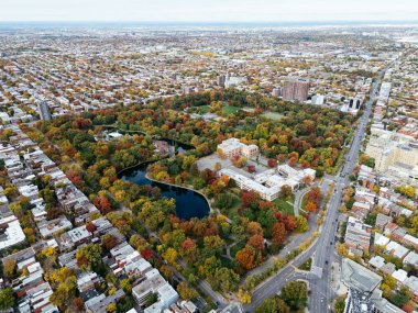 Halka açık bir park, sonbahar yaprağı rengi değişimi, şehir merkezindeki gökdelenler..