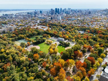Halka açık bir park, sonbahar yaprağı rengi değişimi, şehir merkezindeki gökdelenler..