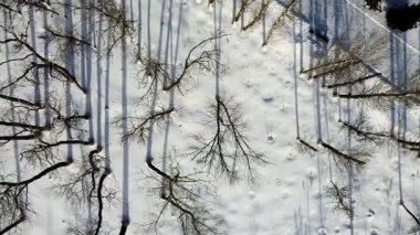 Uralsk şehir merkezinin havadan görünüşü, Central Park, şehir merkezi, Kazakistan.