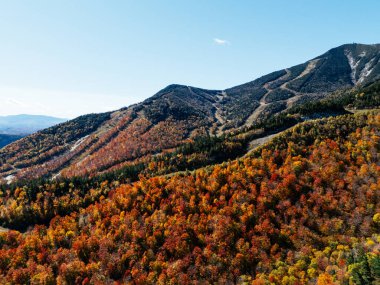 White Face Dağ Kayak Merkezi 'nde Sonbahar Bayrağı. Renk Değişikliği, Vermont, ABD.