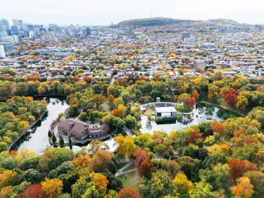Halka açık bir park, sonbahar yaprağı rengi değişimi, şehir merkezindeki gökdelenler..