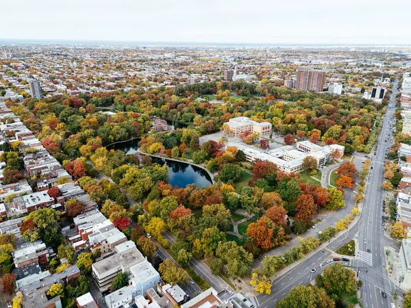 Halka açık bir park, sonbahar yaprağı rengi değişimi, şehir merkezindeki gökdelenler..