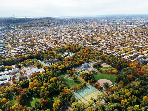 Halka açık bir park, sonbahar yaprağı rengi değişimi, şehir merkezindeki gökdelenler..