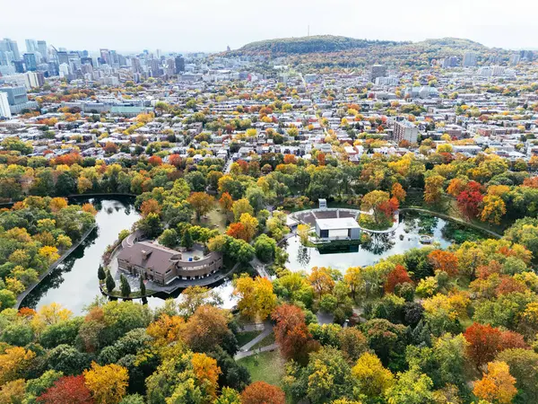 Halka açık bir park, sonbahar yaprağı rengi değişimi, şehir merkezindeki gökdelenler..
