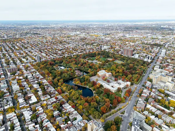 Halka açık bir park, sonbahar yaprağı rengi değişimi, şehir merkezindeki gökdelenler..