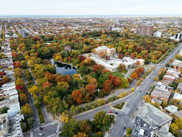 Halka açık bir park, sonbahar yaprağı rengi değişimi, şehir merkezindeki gökdelenler..