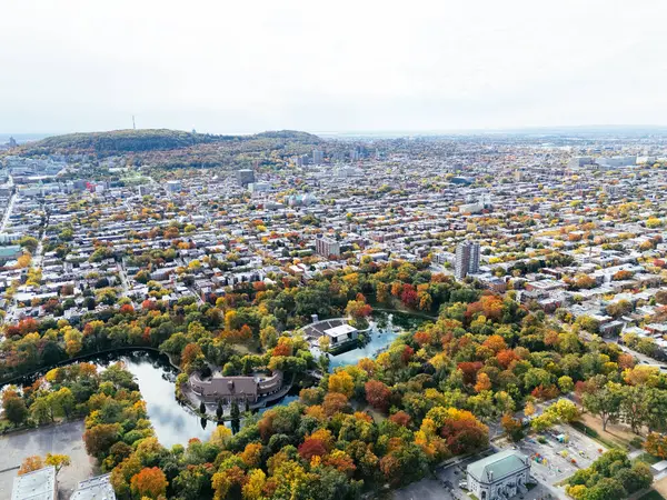 Halka açık bir park, sonbahar yaprağı rengi değişimi, şehir merkezindeki gökdelenler..