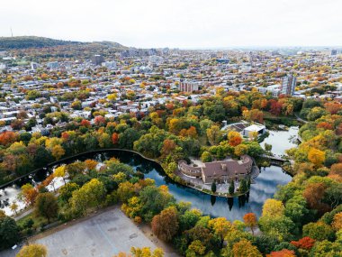 Halka açık bir park, sonbahar yaprağı rengi değişimi, şehir merkezindeki gökdelenler..