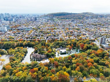 Halka açık bir park, sonbahar yaprağı rengi değişimi, şehir merkezindeki gökdelenler..