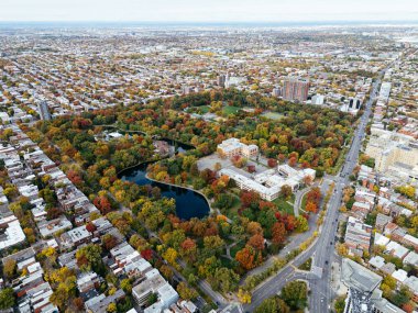 Halka açık bir park, sonbahar yaprağı rengi değişimi, şehir merkezindeki gökdelenler..