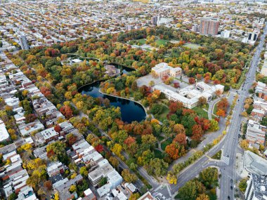 Halka açık bir park, sonbahar yaprağı rengi değişimi, şehir merkezindeki gökdelenler..