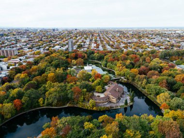 Halka açık bir park, sonbahar yaprağı rengi değişimi, şehir merkezindeki gökdelenler..