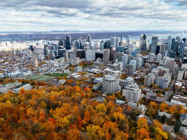 Arka planda şehir merkezindeki gökdelenlerle sonbahar parkının üzerinde insansız hava aracı uçuşu. Mont-Royal Parkı, Montreal, Kanada.