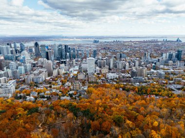 Arka planda şehir merkezindeki gökdelenlerle sonbahar parkının üzerinde insansız hava aracı uçuşu. Mont-Royal Parkı, Montreal, Kanada.