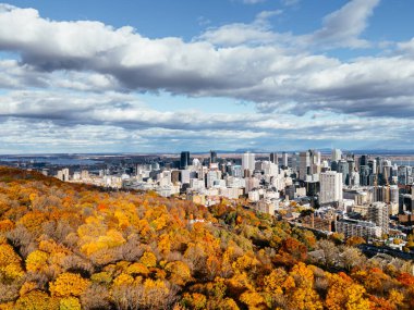 Arka planda şehir merkezindeki gökdelenlerle sonbahar parkının üzerinde insansız hava aracı uçuşu. Mont-Royal Parkı, Montreal, Kanada.