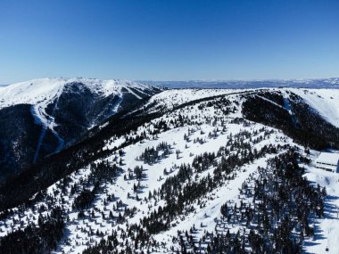 Kopaonic kayak merkezine yakın dağların gündüz görünümü.