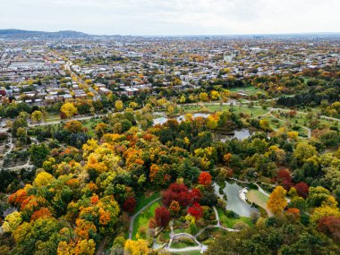 Halka açık bir park, sonbahar yaprağı rengi değişimi, şehir merkezindeki gökdelenler..