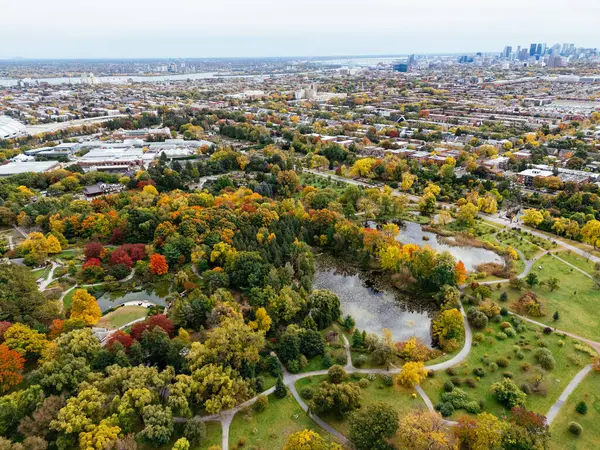 Halka açık bir park, sonbahar yaprağı rengi değişimi, şehir merkezindeki gökdelenler..