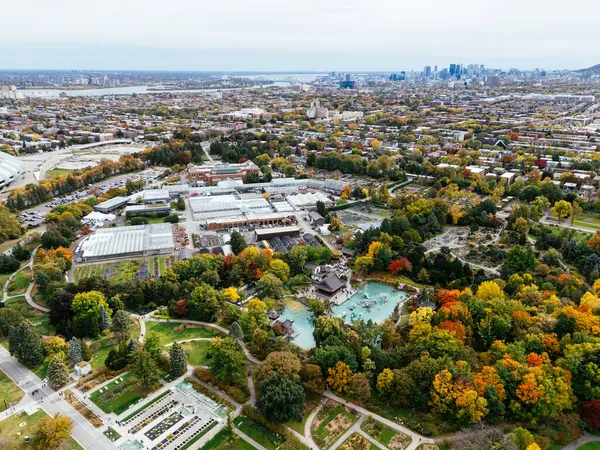 Halka açık bir park, sonbahar yaprağı rengi değişimi, şehir merkezindeki gökdelenler..