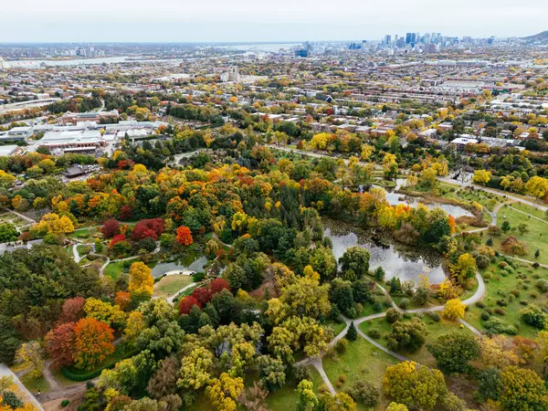 Halka açık bir park, sonbahar yaprağı rengi değişimi, şehir merkezindeki gökdelenler..