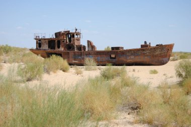 Paslı ve çürüyen gemiler ve botlar, Özbekistan 'daki Aral Denizi' nin eski deniz yatağı olan çölün sıcaklığı ve güneşi altında terk edildi.