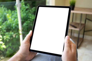 Kadın elleri yeşil ofis arka planında izole ekran tableti tutuyor