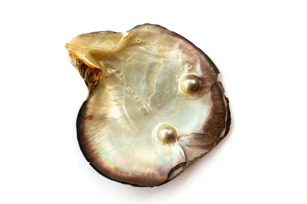 Huître Nacre Avec Deux Perles Isolée Sur Fond Blanc — Photo
