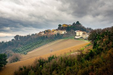 The village of Belvedere Fogliense, previously Montelevecchie is part of the Comune of Tavullia in the Marche region of Italy. Here during autumn. clipart