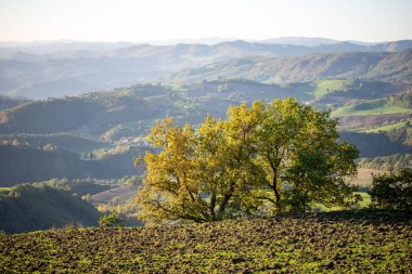 View of the hills of Montefeltro in Italy, from the Pietrarubbia region under the Carpegna Mount in the Italian Marche, close to Emilia Romagna and Toscana clipart