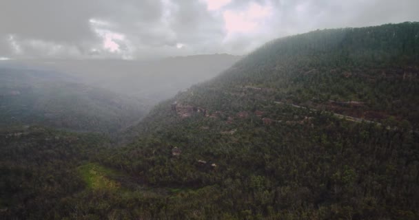Yanmış Çalıların Ormanların Üzerine Yağan Yağmurla Birlikte Sola Dön Klim — Stok video