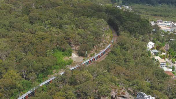 ブルックリンの上のオーストラリアのブッシュランドを通って丘を登る列車 30秒Uhd — ストック動画