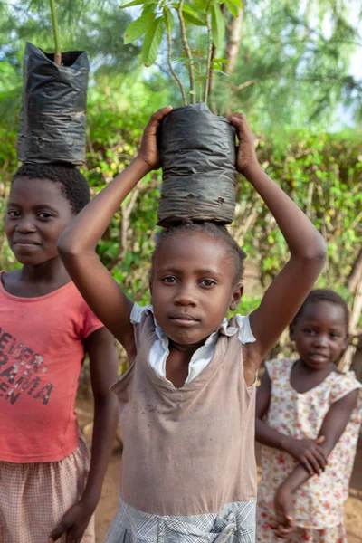 Xai Xai Mosambik April 2014 Junge Mädchen Tragen Junge Bäume — Stockfoto