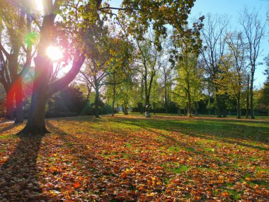 Sonbaharda bir heykelle Dusseldorf 'a park et.