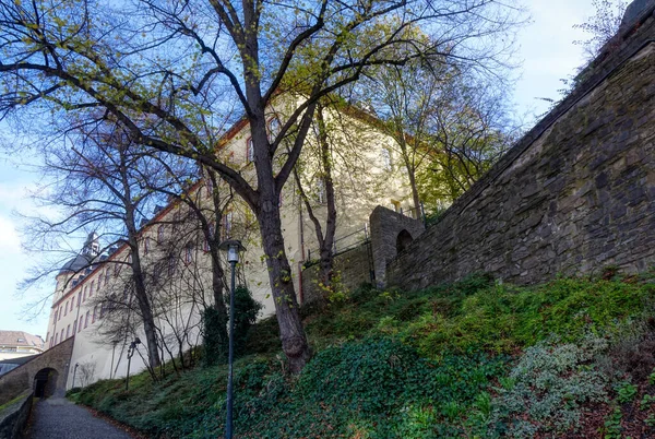 Camino Hacia Histórico Castillo Siegen — Foto de Stock