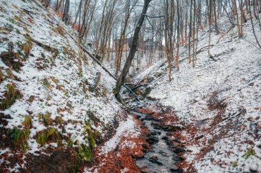 Winterberg 'deki Helletal Vadisi' nde kar altında.