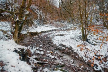 Helle Deresi ve Winterberg 'deki Helletal Vadisi' nde kar altında boğaz.