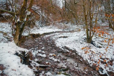 The Helle creek and gorge in the Helletal valley in Winterberg in snow clipart