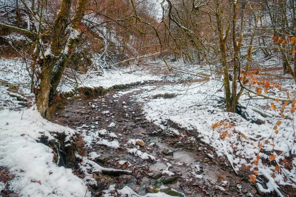 温特堡Helletal山谷的Helle小溪和峡谷被雪覆盖着 图库照片