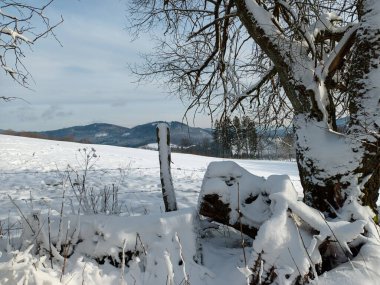 Snow landscape in the the Sauerland mountains near Winterberg in winter