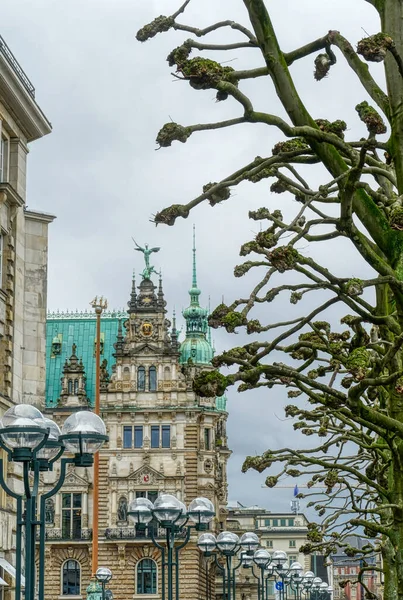 ハンブルクのBinnenalsterによる歴史的建造物 — ストック写真