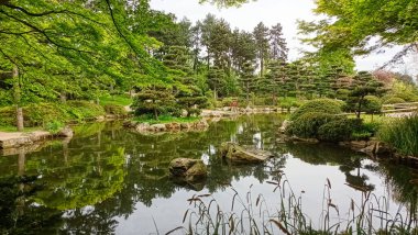Düsseldorf 'taki bir parkın Japon bahçesinde gölet.