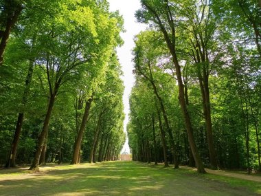 Sogel 'deki Clemenswerth kalesine güzel bir ara sokak.