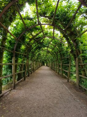 Schwerin 'deki şato parkındaki yeşil pergola tüneli.