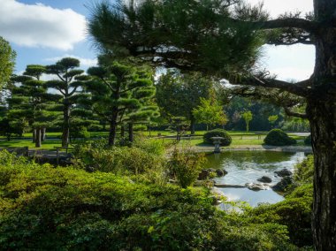 Sonbaharda Düsseldorf 'ta Japon parkı manzarası