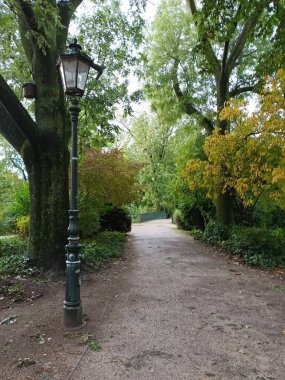Düsseldorf 'ta bir parkta fenerli bir yol.