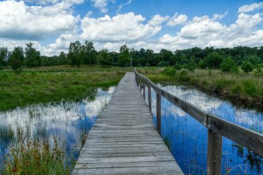 Beautiful wooden walkway in the moor in the Diersfordter forest clipart