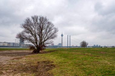 Duesseldorf 'taki Ren çayırları, ağaç, köprü ve kule