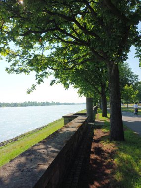 Düsseldorf 'taki Ren nehrinin manzaralı güzel bisiklet yolu ve yaya yolu.
