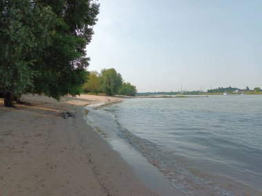 Himmelgeist Ren Nehri 'nin Düsseldorf' taki doğal plajı.
